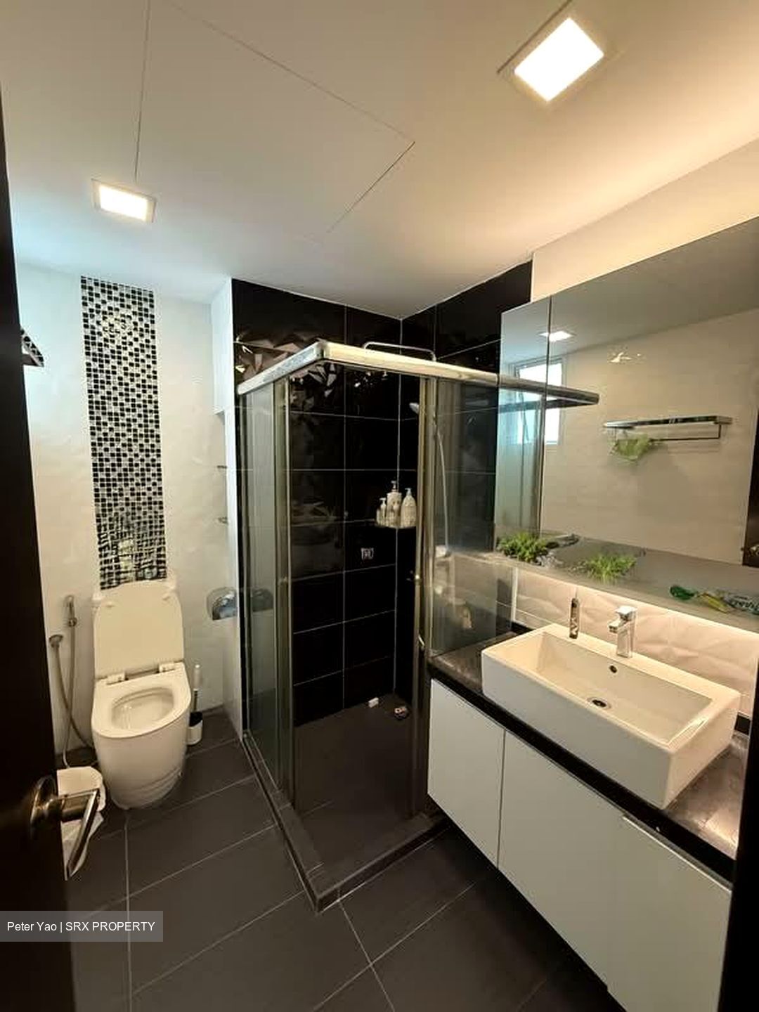Parc Palais (D21), Condominium #571737961